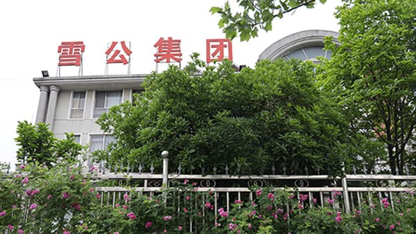 Xuegong starch glue factory and corrugated adhesive manufacturing facility in Anhui, China